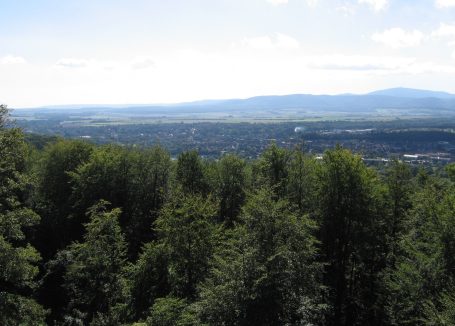 Harly bei Vienenburg